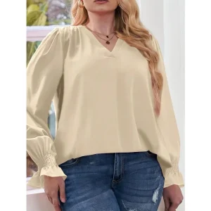 Long Sleeve V-neck Chiffon Blouse